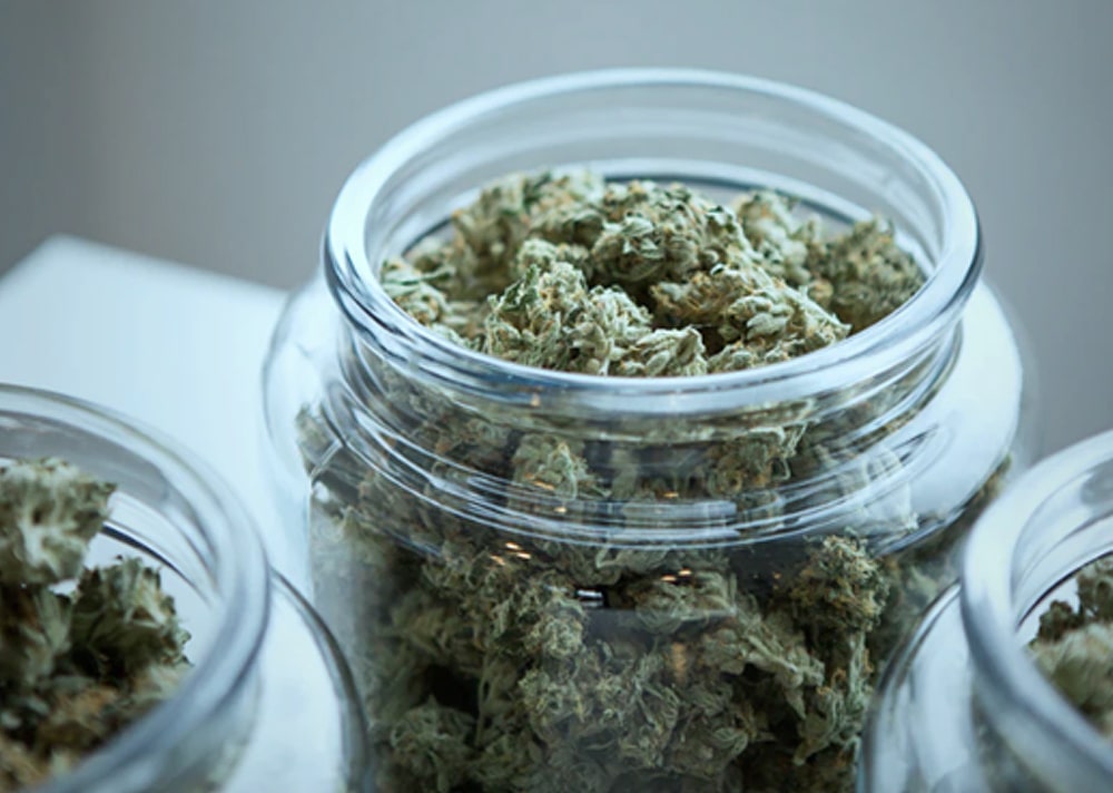 Greenery Map Opens Platform to Thousands of CBD Retailers Across the US